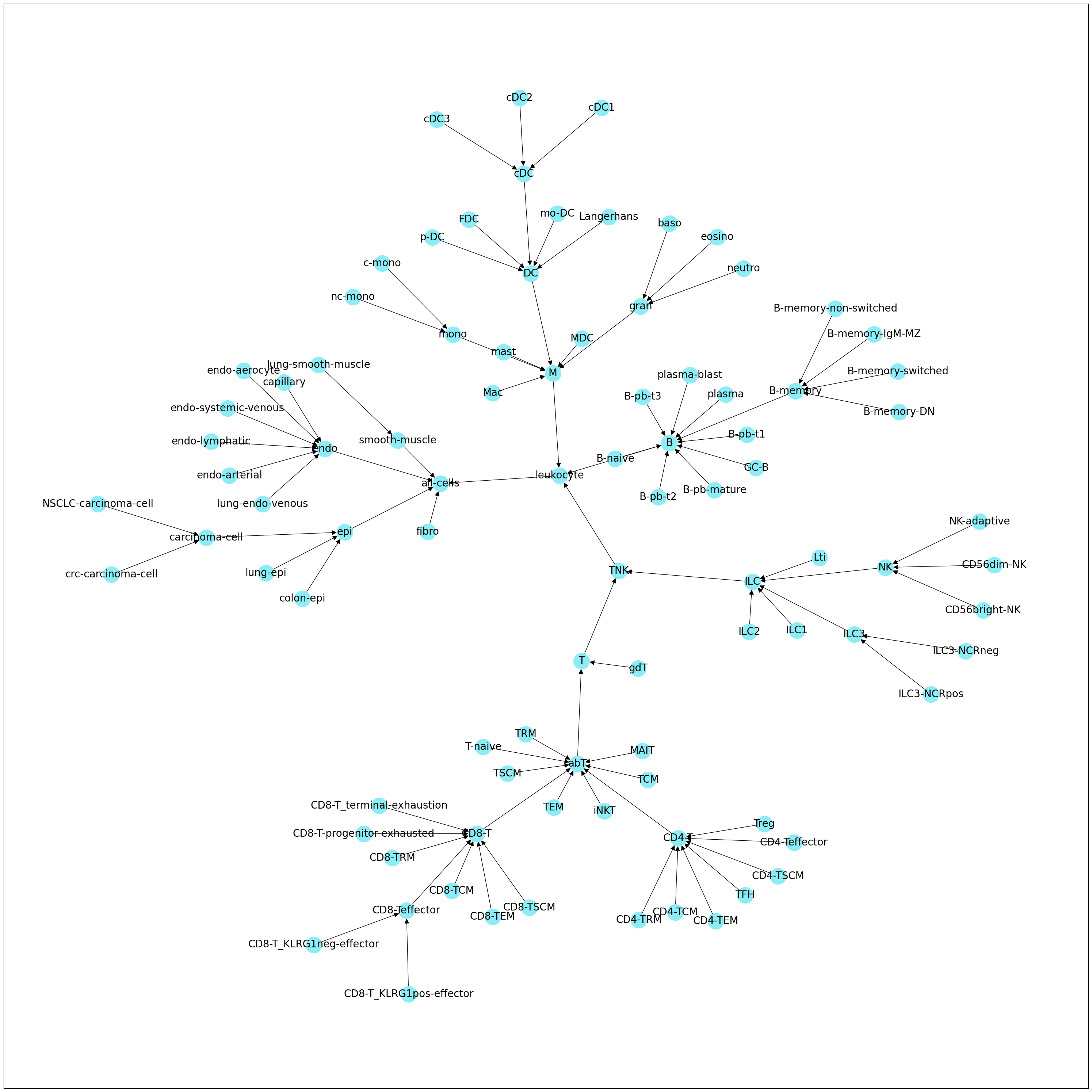../_images/tutorials_02_creating_knowledge_base_20_1.png